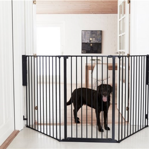 Puertas para perros: cómo elegir la perfecta para tu perro - El