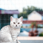Protege a tu gato de graves caídas con las mallas certificadas anti caídas
