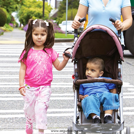 asa-de-seguridad-infantil-para-sillas-de-paseo-y-coche-de-bebé-diono