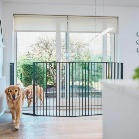 BARRERA PARA PERROS BABYDAN
