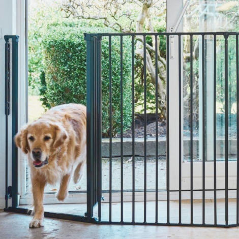 BARRERA ROCKY DOG SPACE